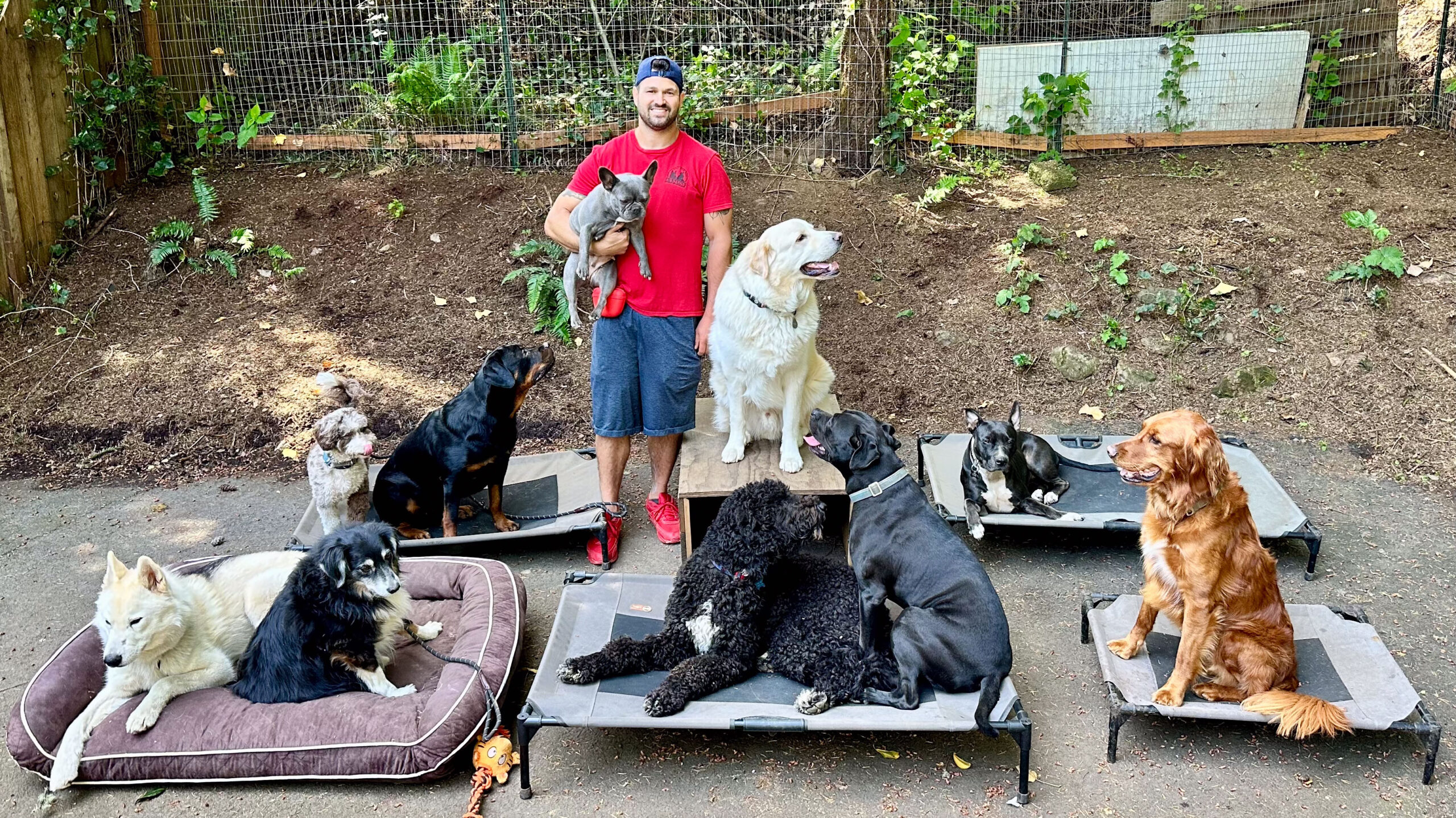 A man in a red shirt and blue shorts stands holding a small dog. Around him are ten dogs of various breeds sitting on elevated beds and the ground. The scene is outdoors with a wooded background.